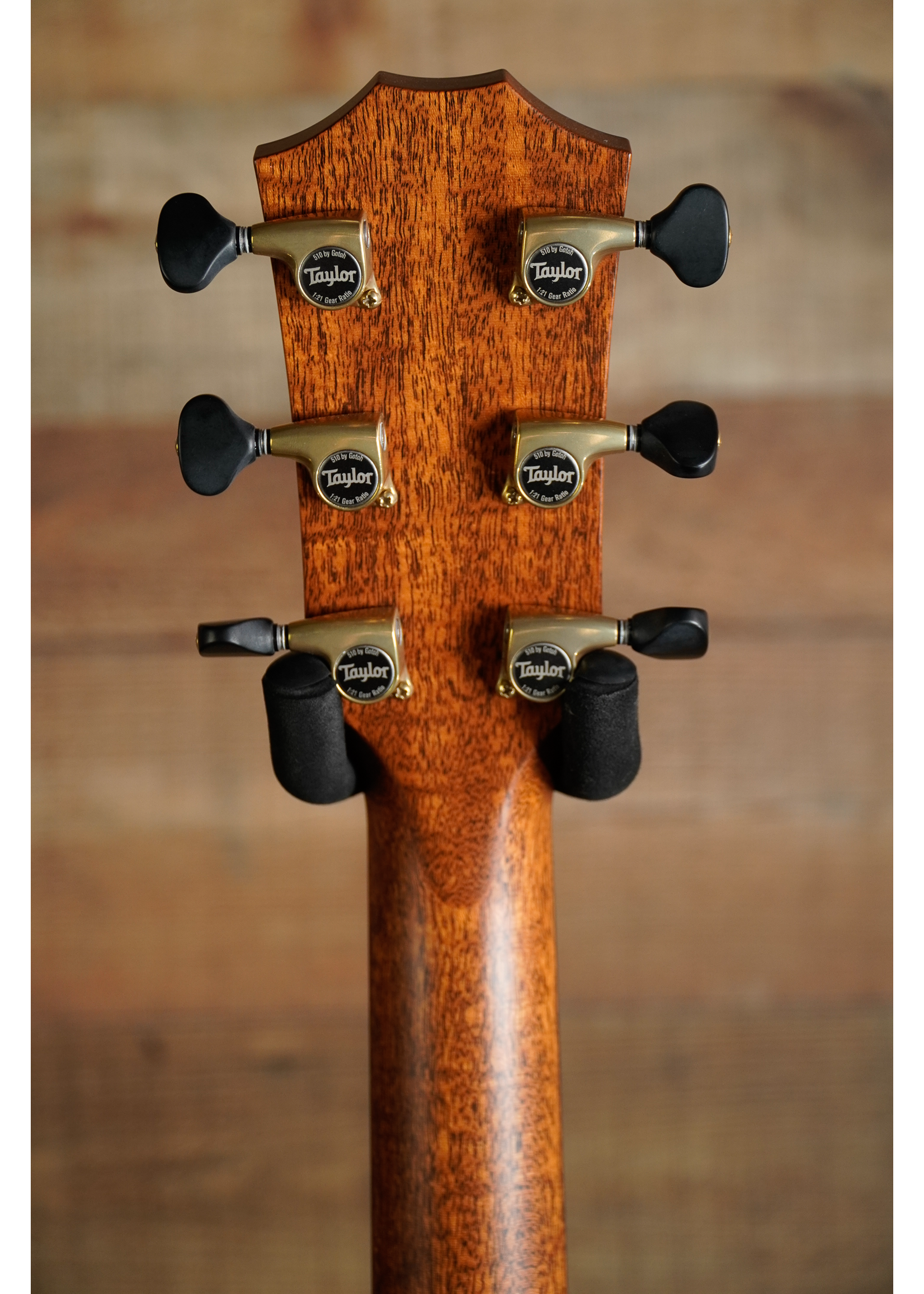 Taylor Taylor Custom #5 NAMM Exclusive Only 30 Available WorldWide