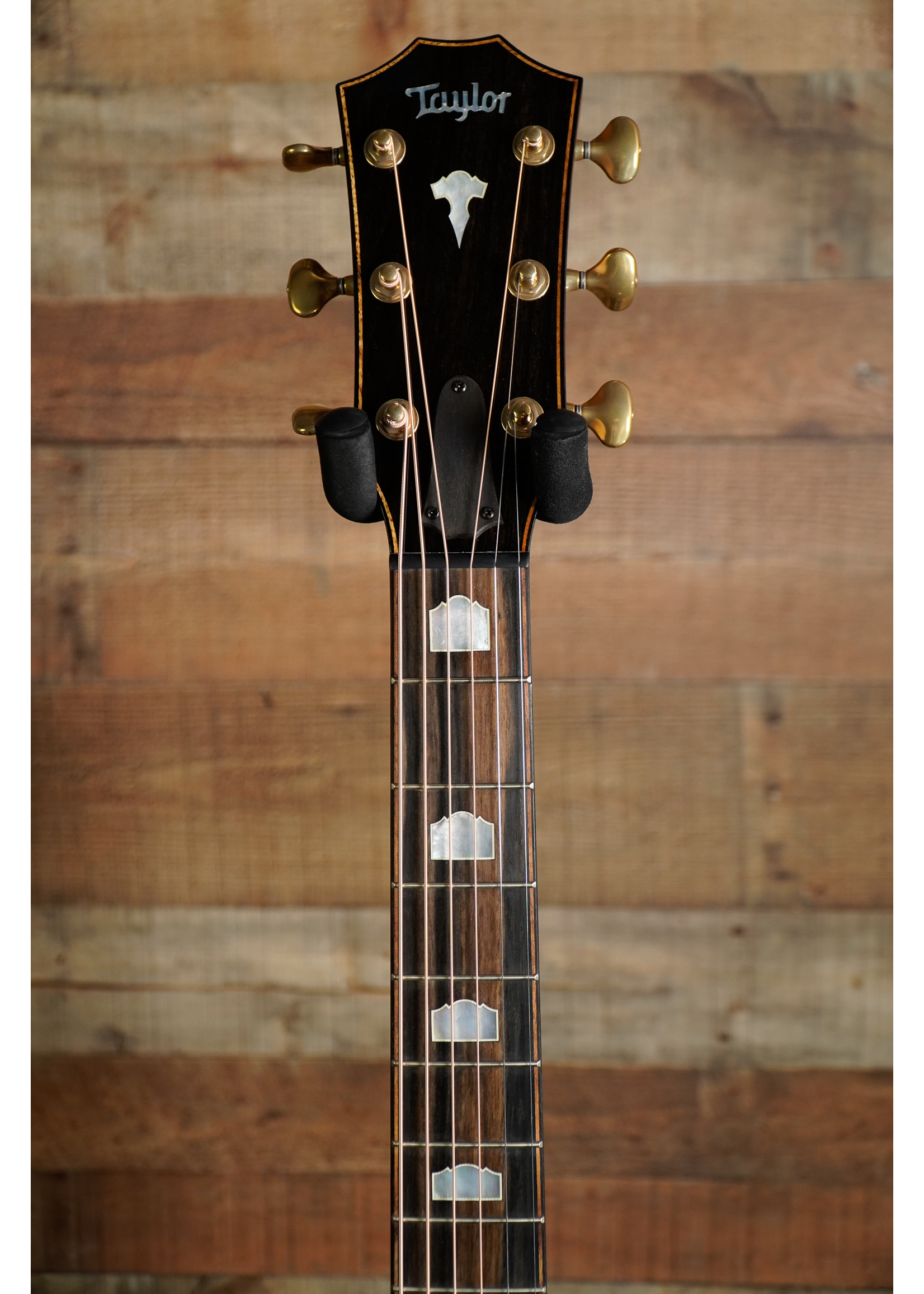 Taylor Taylor Custom #18 Namm Exclusive Only 50 Available Worldwide