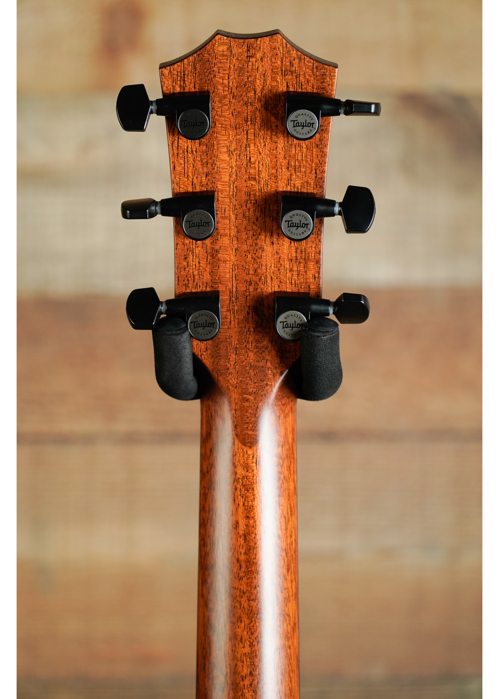 Taylor Taylor  322e  Shaded Edge Burst