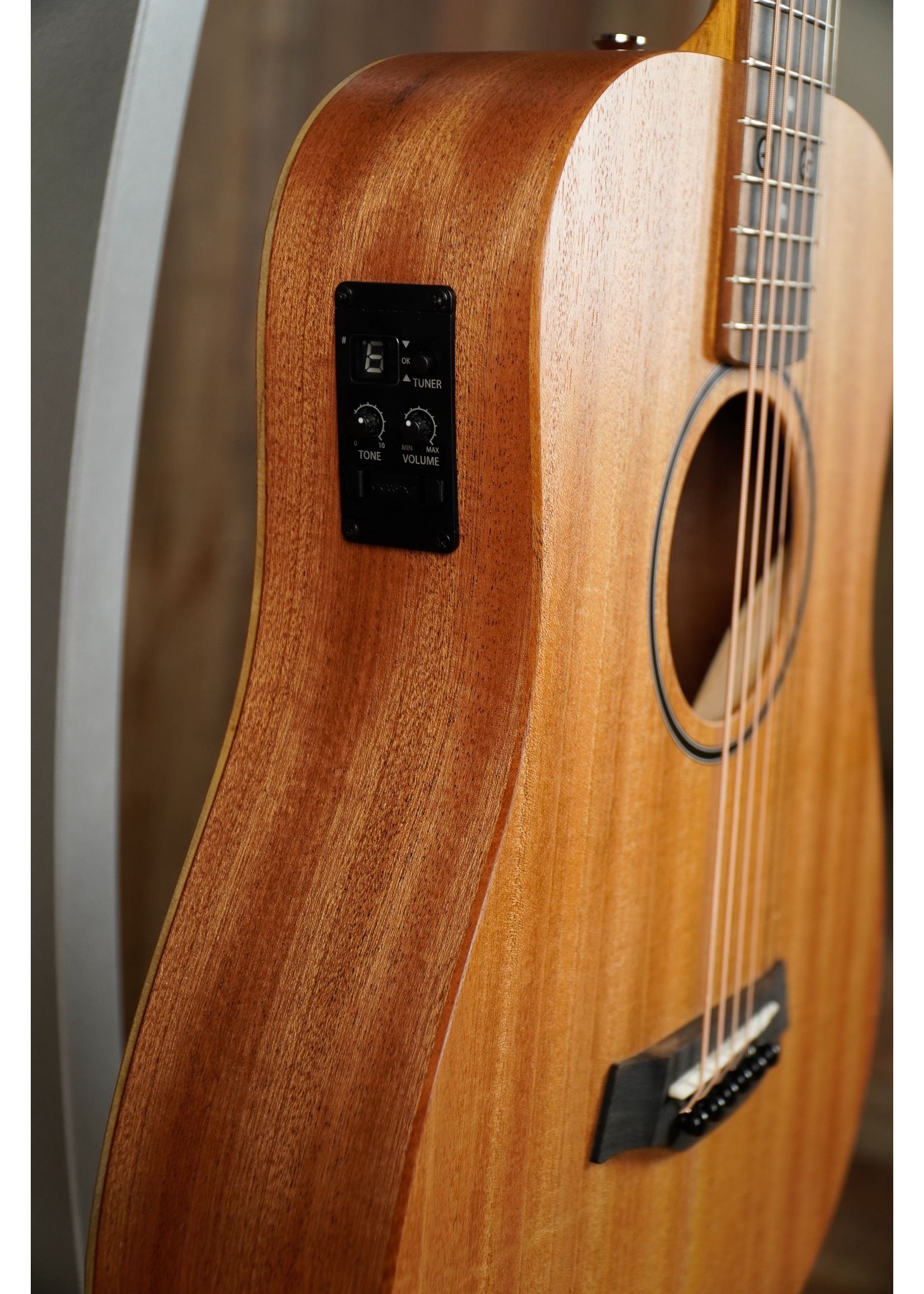 Taylor Taylor BT2e Mahogany