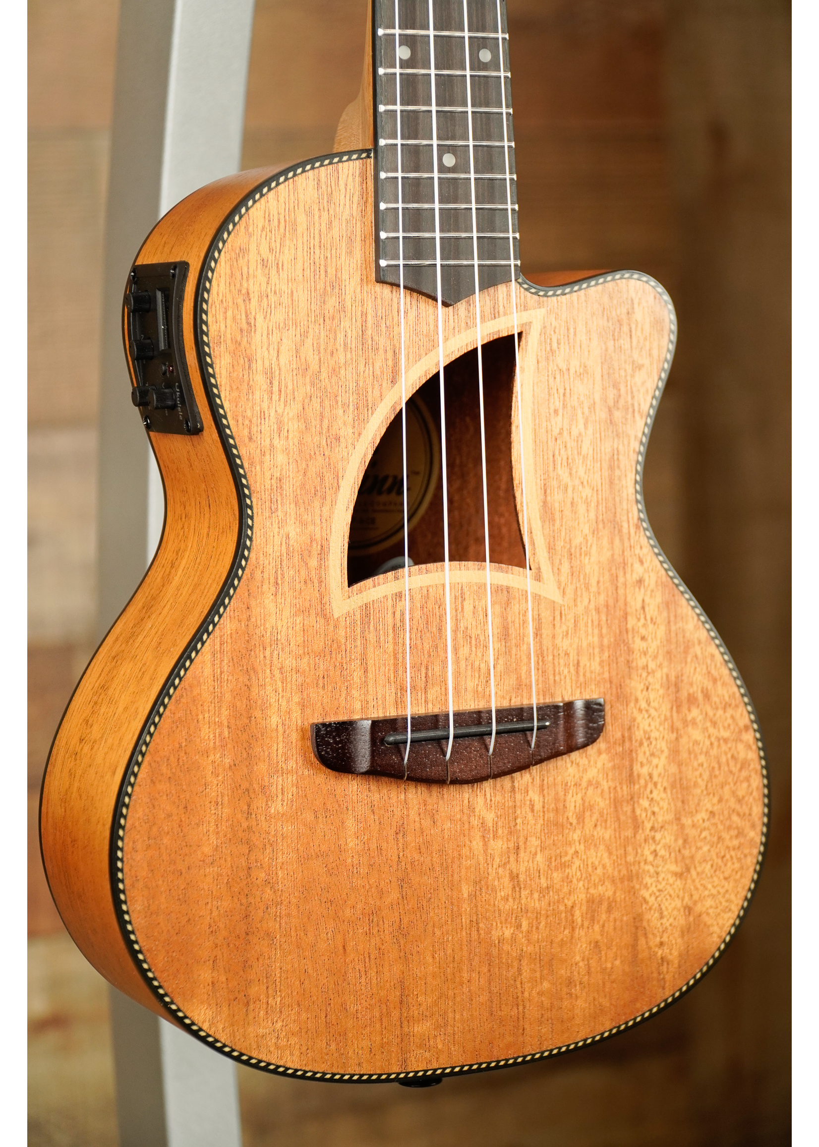 Eddy Finn Eddy Finn EF-9ce Mahogany