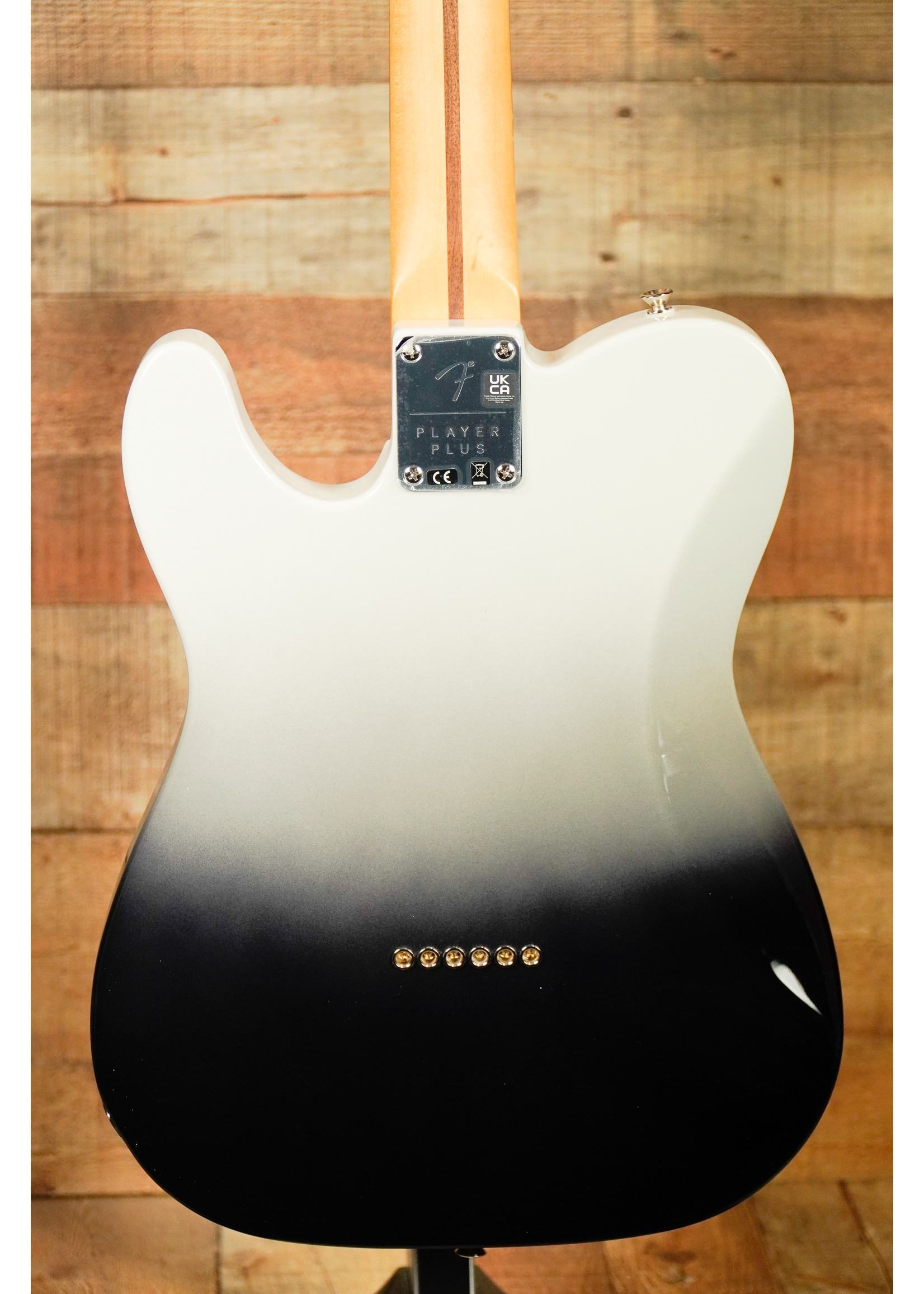 Fender Player Plus Telecaster®, Pau Ferro Fingerboard, Silver