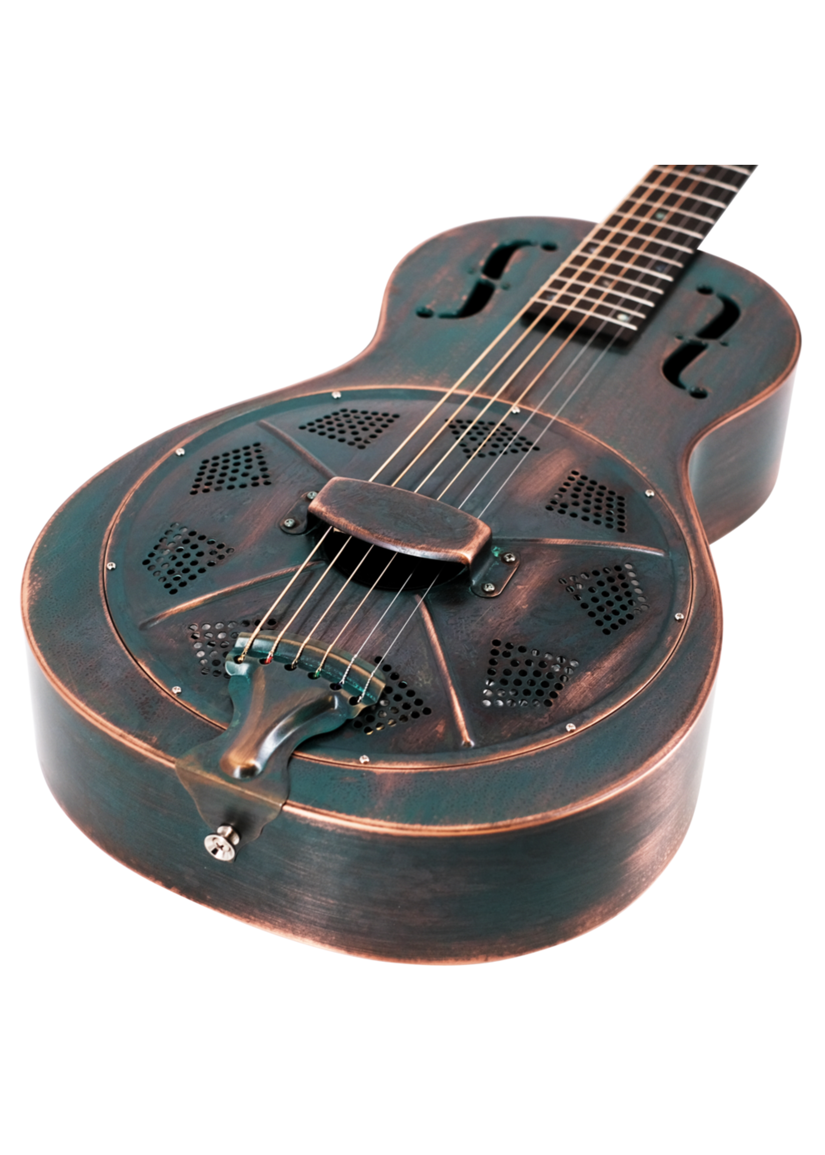 Recording King Swamp Dog Parlor Resonator  RM 993-vg