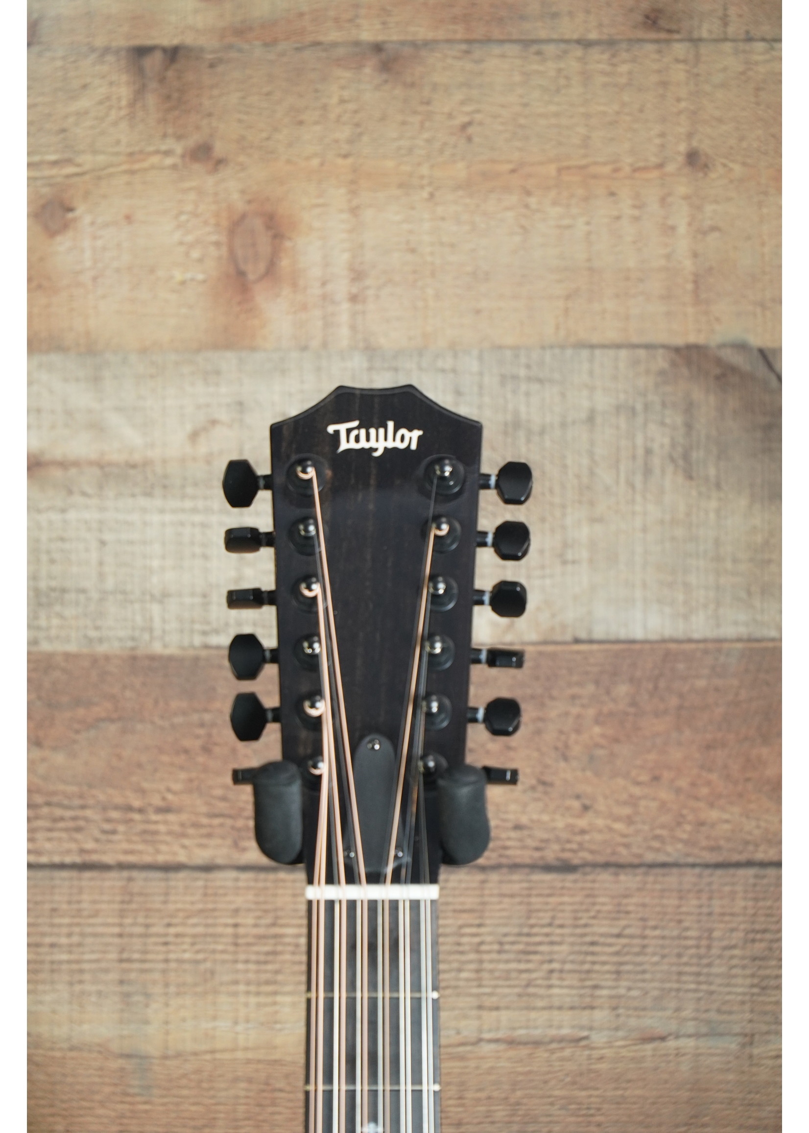 Taylor Taylor 250ce-BLK DLX