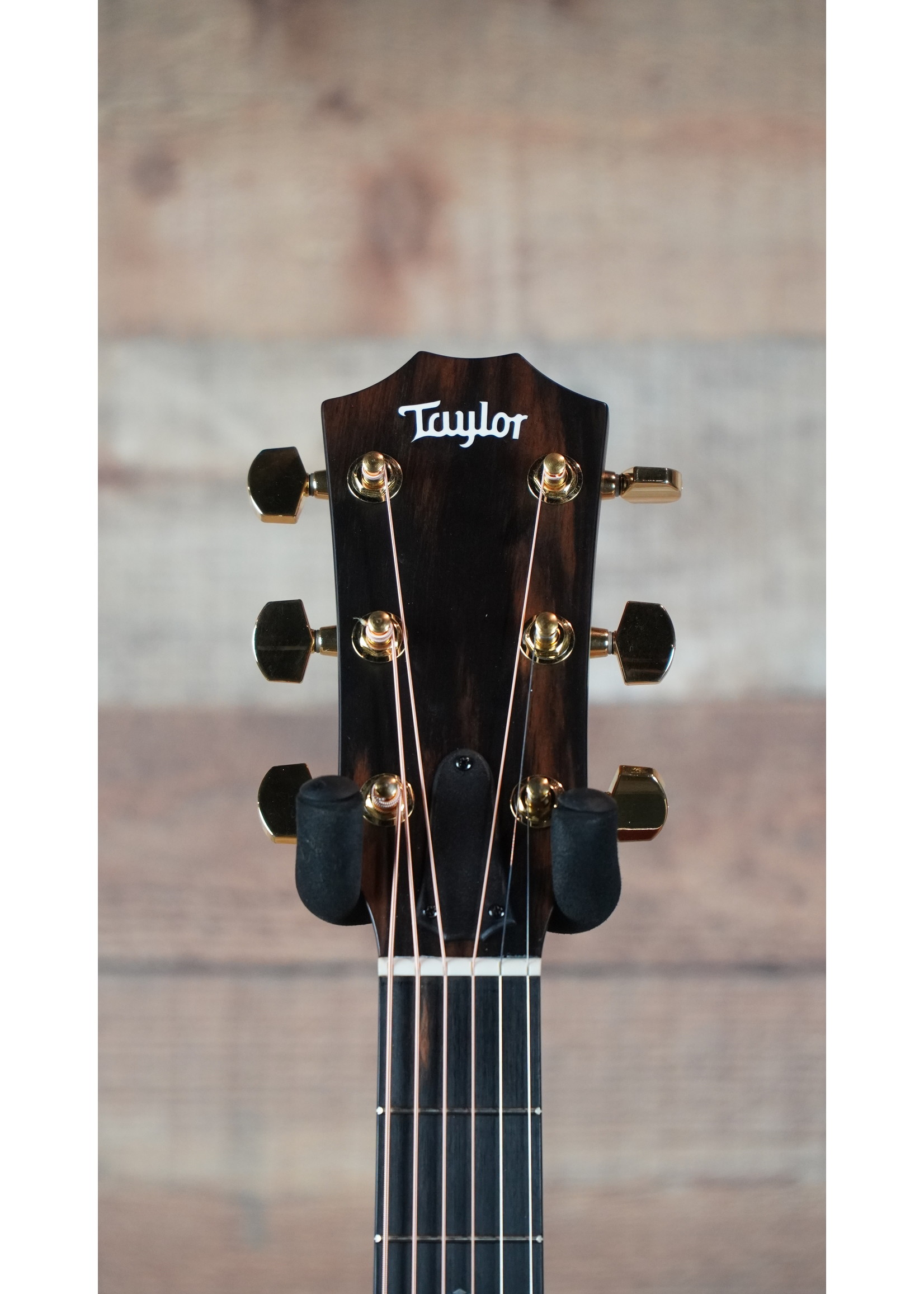 Taylor Taylor 224ce-UA DLX LTD