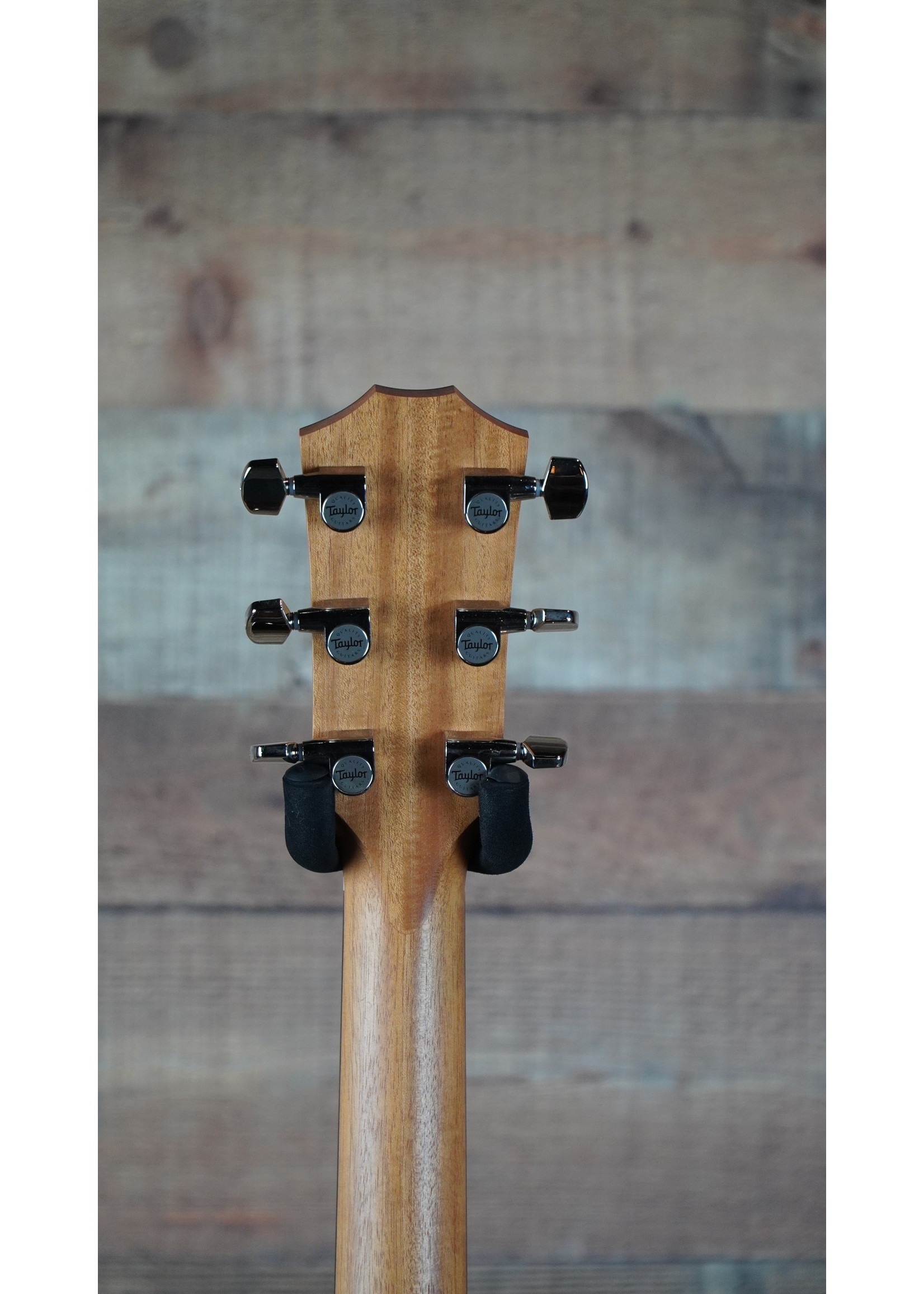 Taylor 210ce Plus 6-String | Sitka Spruce Top | Layered Rosewood Back and Sides | Tropical Mahogany Neck | West African Crelicam Ebony Fretboard | Expression System® 2 Electronics | Venetian Cutaway | Aerocase