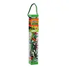 Dino Explorer Tube