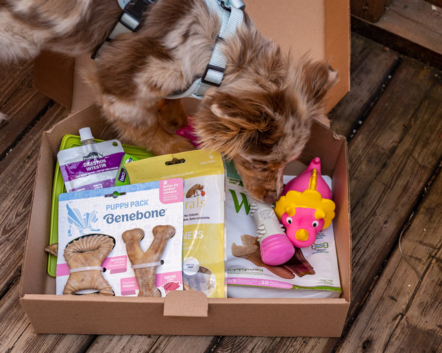 Try our new Variety Box Quiz!
