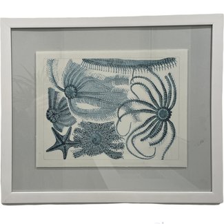 Aqua Horizontal Starfish 4 Framed Art - 24x18