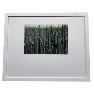 Bamboo 1 Framed Photo - 30x24