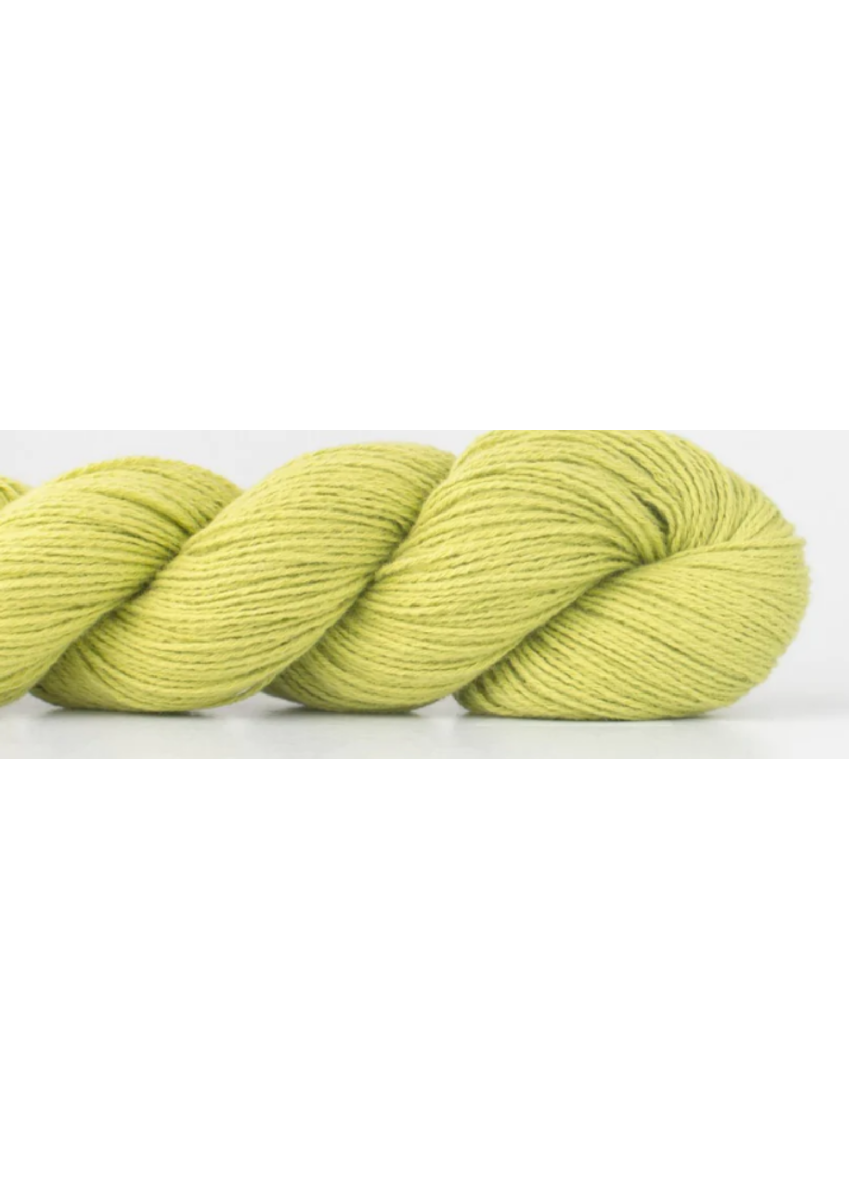 Shibui Shibui Fern