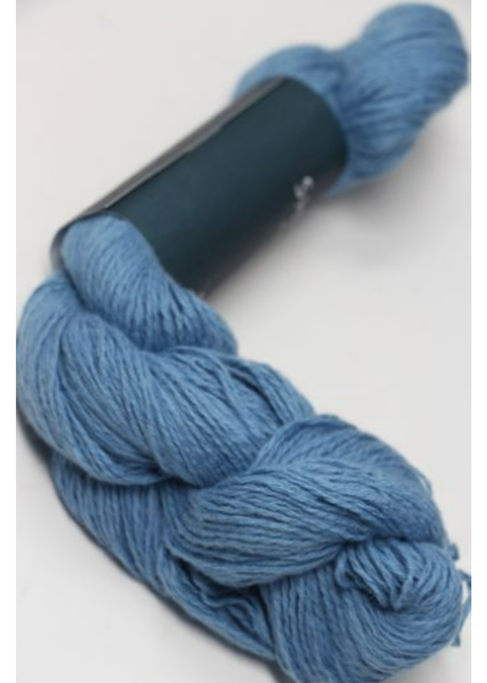 Shibui Shibui Fern