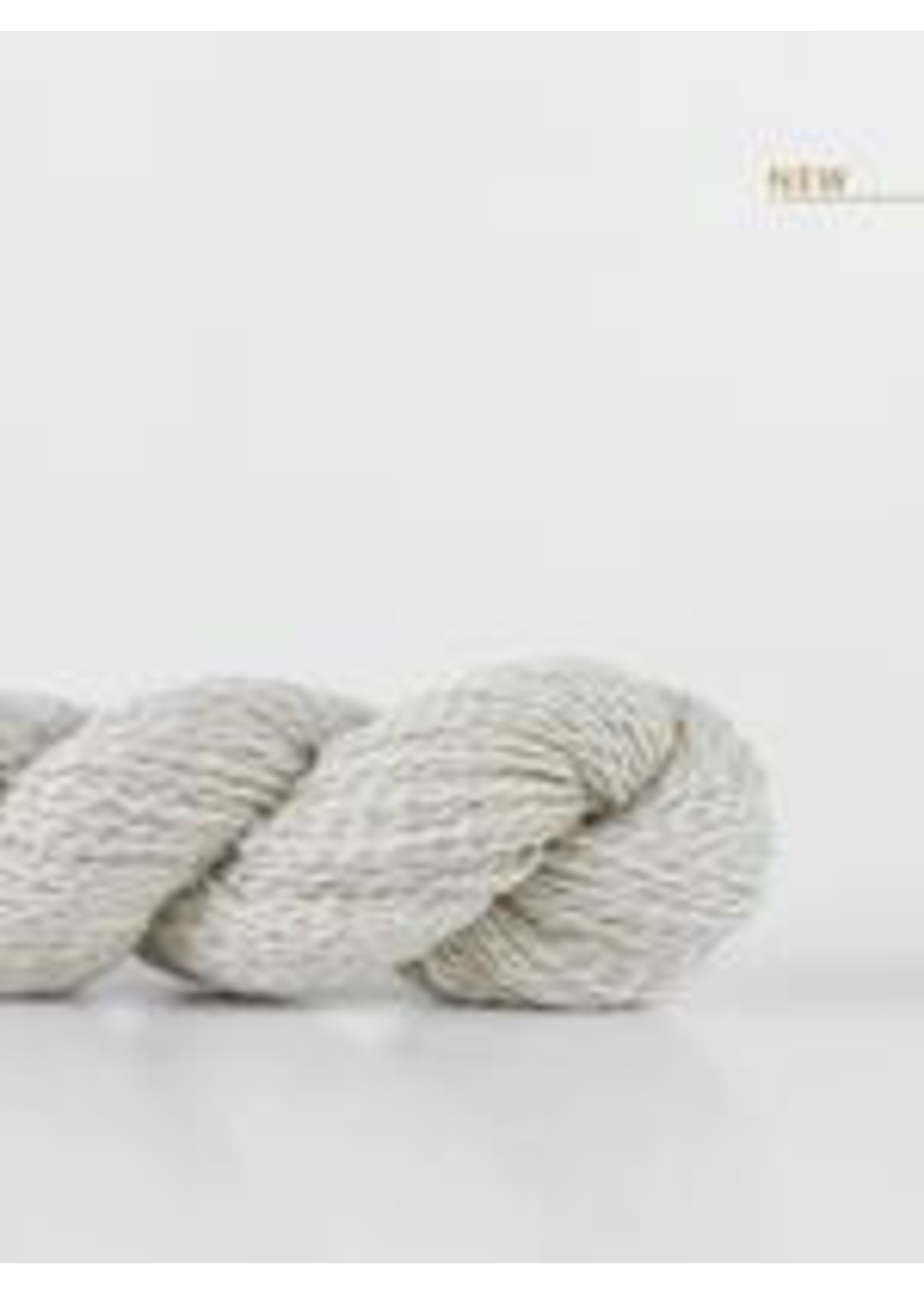 Shibui Shibui Echo