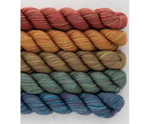Sweet Georgia Tough Love Party of Five - Hank Yarn, L.L.C