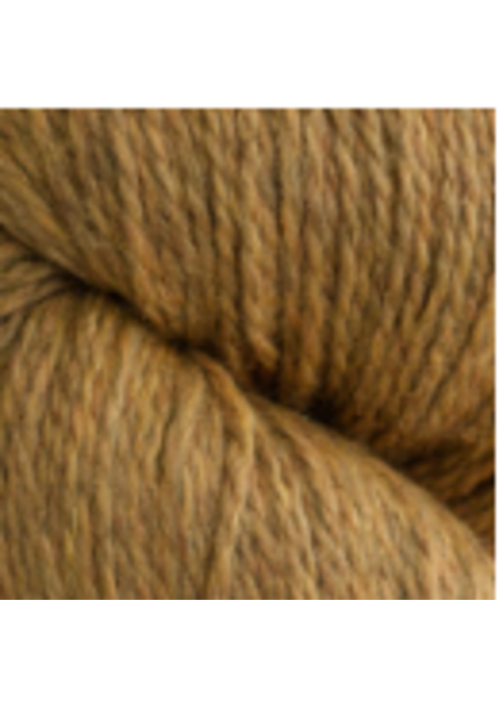 Cascade Yarns, Inc Cascade Yarns Eco + Bulky