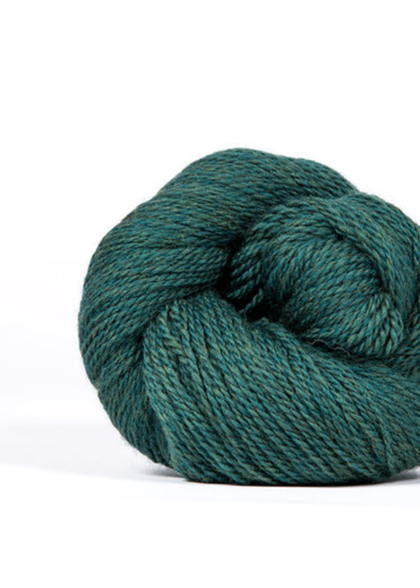 Kelbourne Woolens Kelbourne Woolens Scout