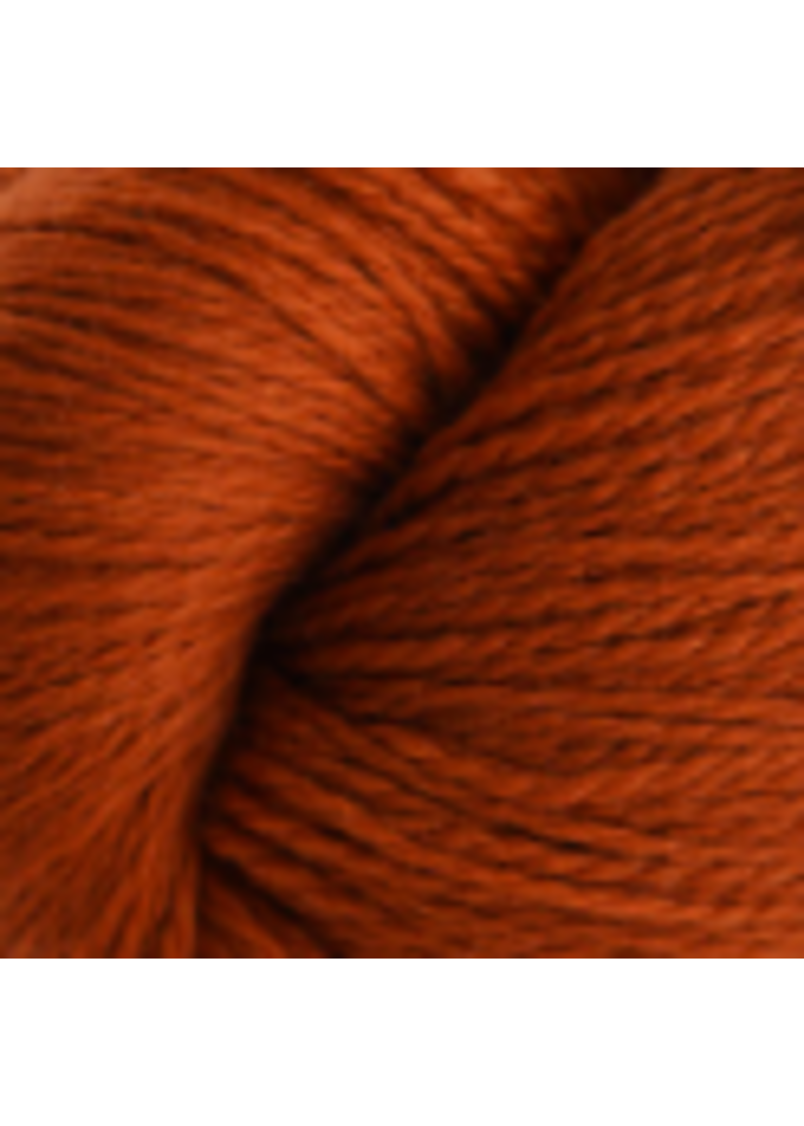 Cascade Yarns, Inc Cascade Yarns Eco + Bulky