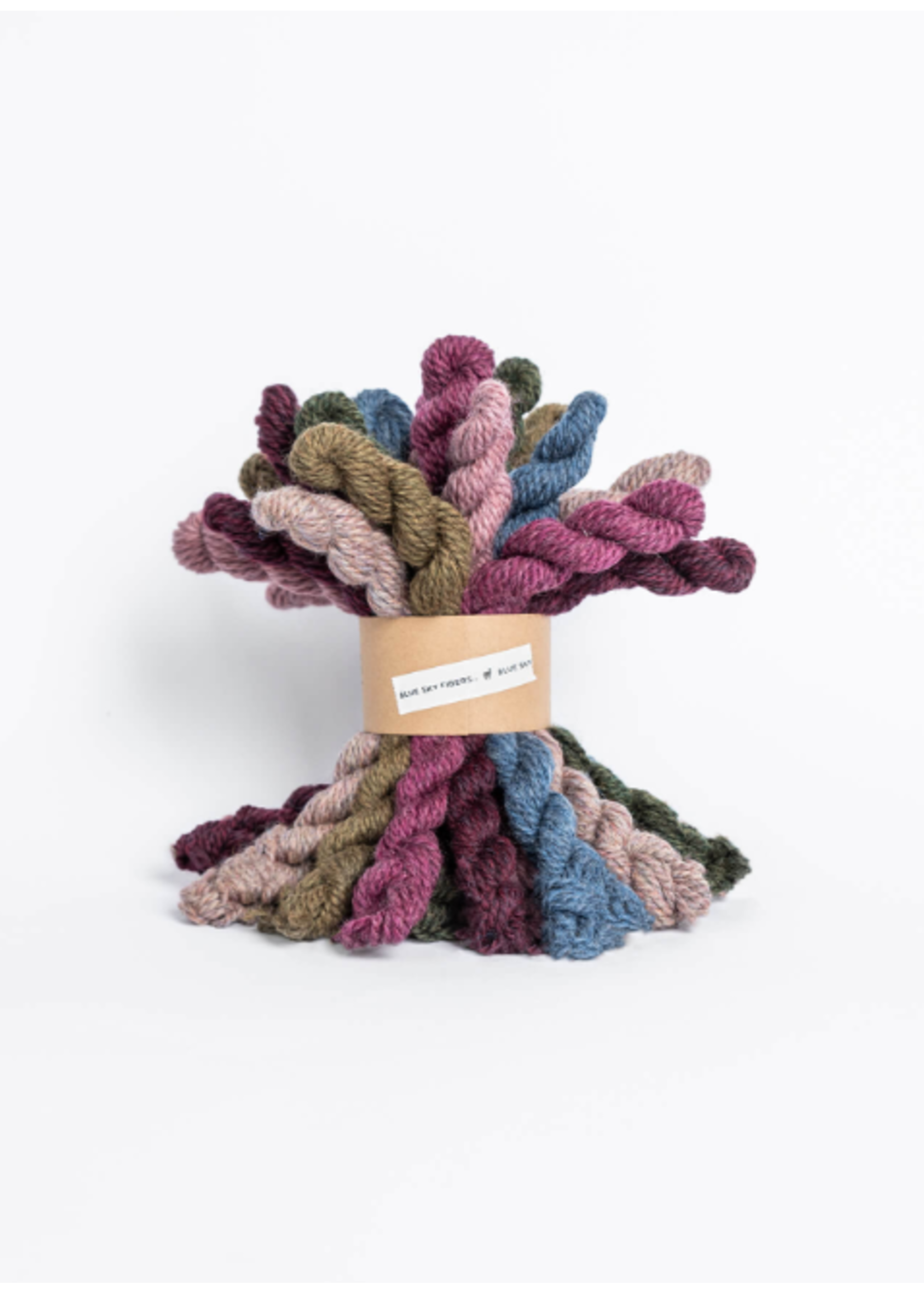 Blue Sky Fibers Woolstok Bramble and Fig Kit