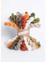 Blue Sky Alpacas Blue Sky Woolstok Bundle Kit Worsted