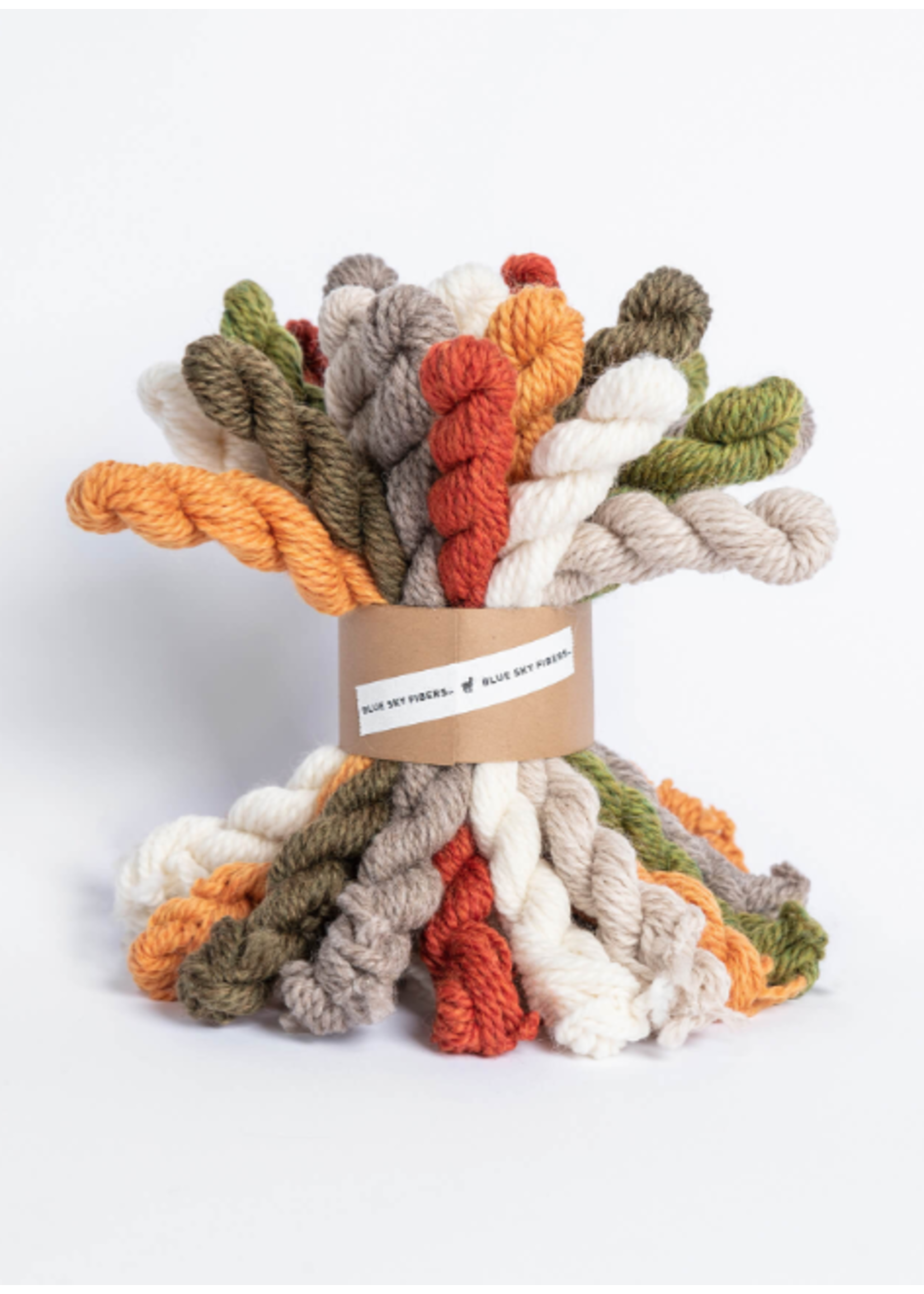 Blue Sky Alpacas Blue Sky Woolstok Bundle Kit Worsted
