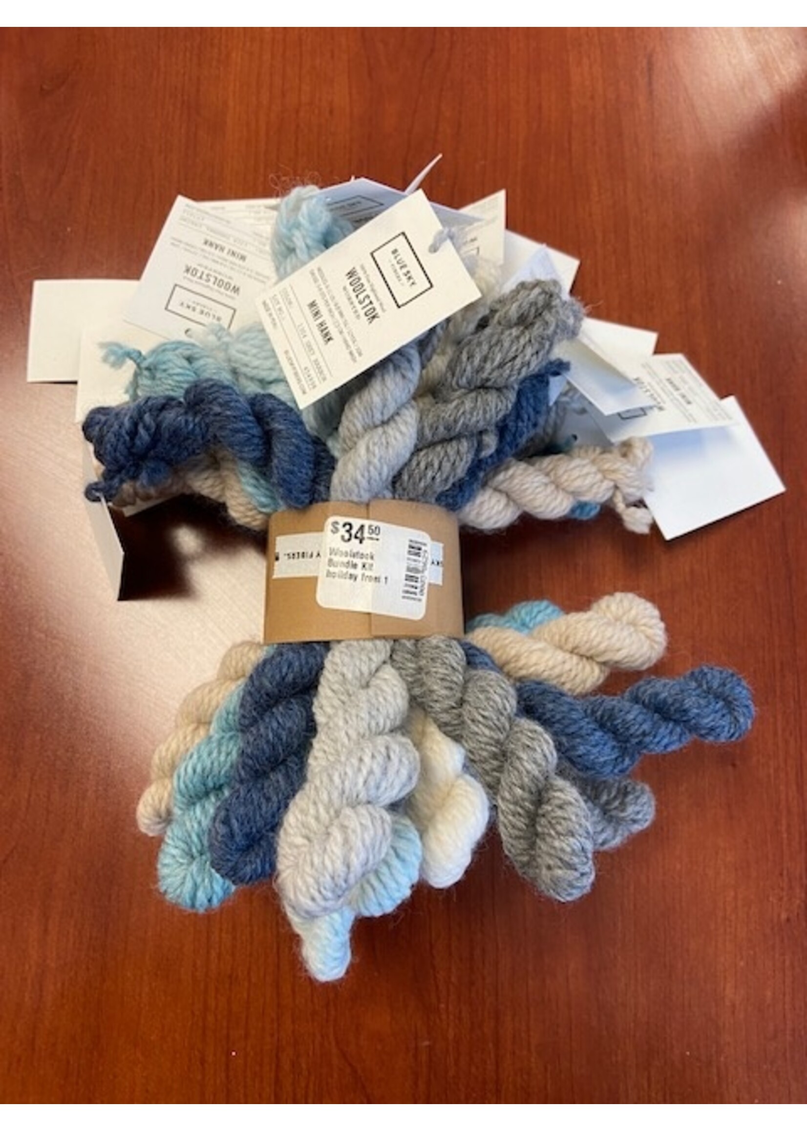 Blue Sky Alpacas Blue Sky Woolstok Bundle Kit Worsted