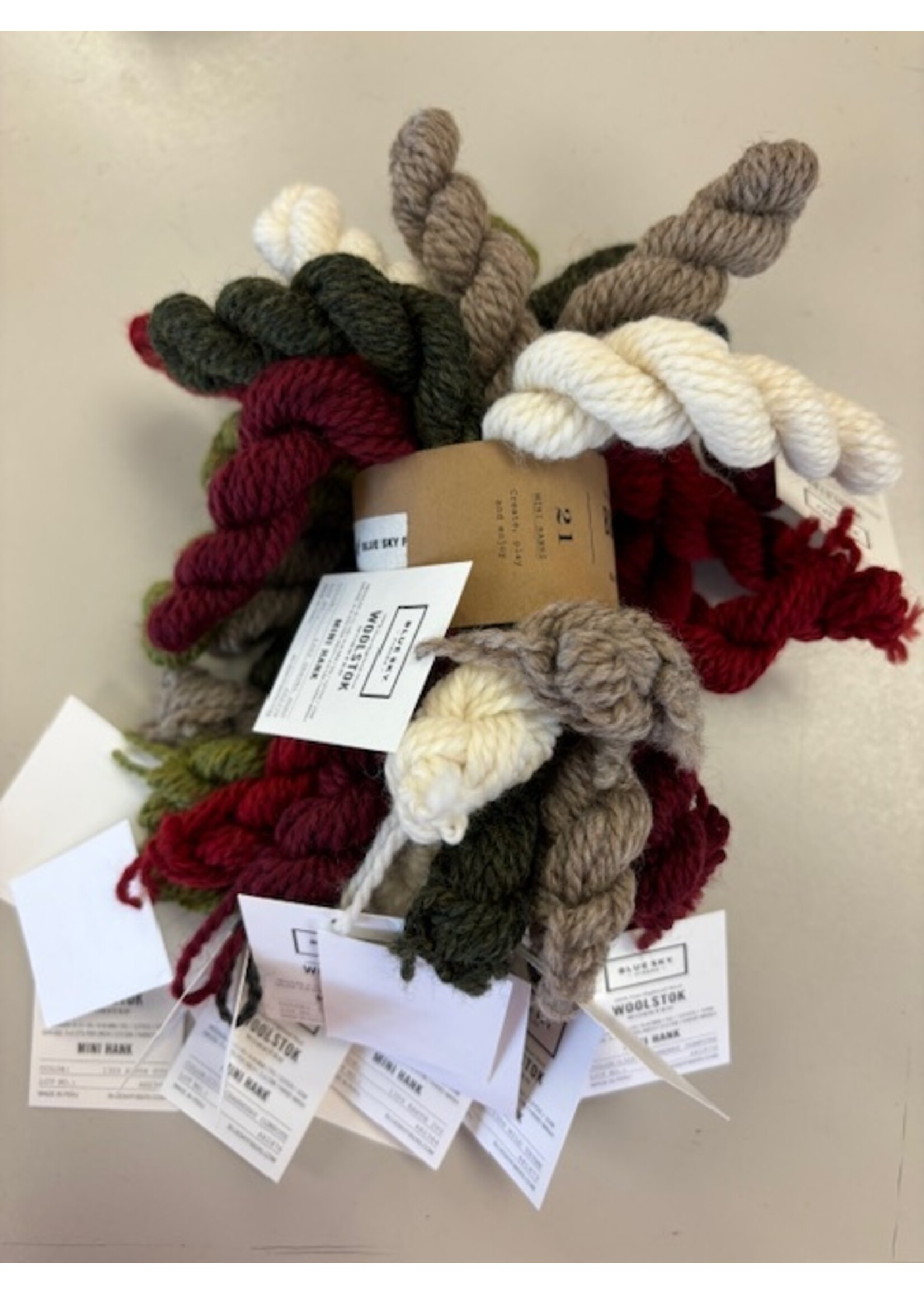 Blue Sky Alpacas Blue Sky Woolstok Bundle Kit Worsted