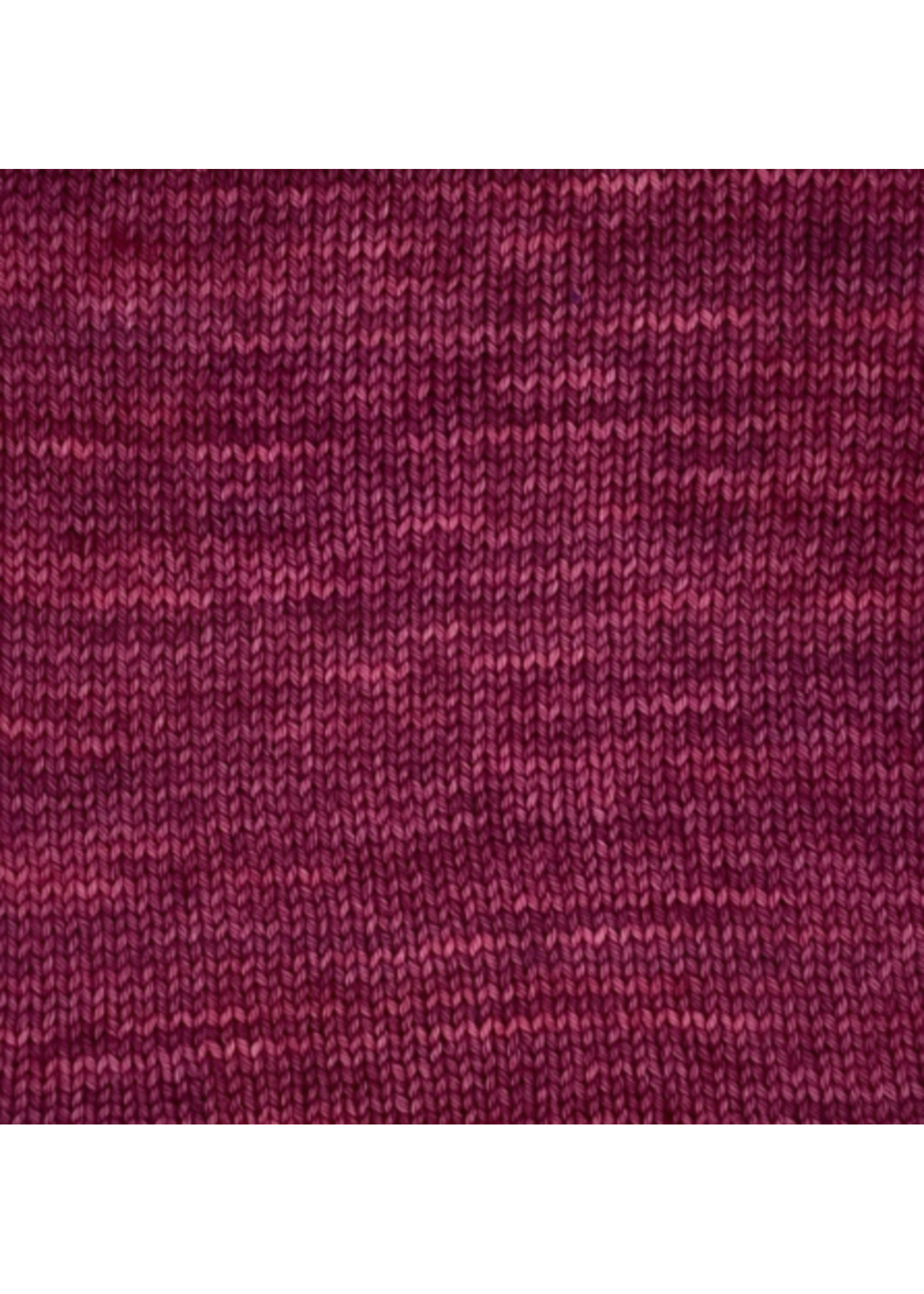 Leading Men Leading Men Mini Skeins Fingering