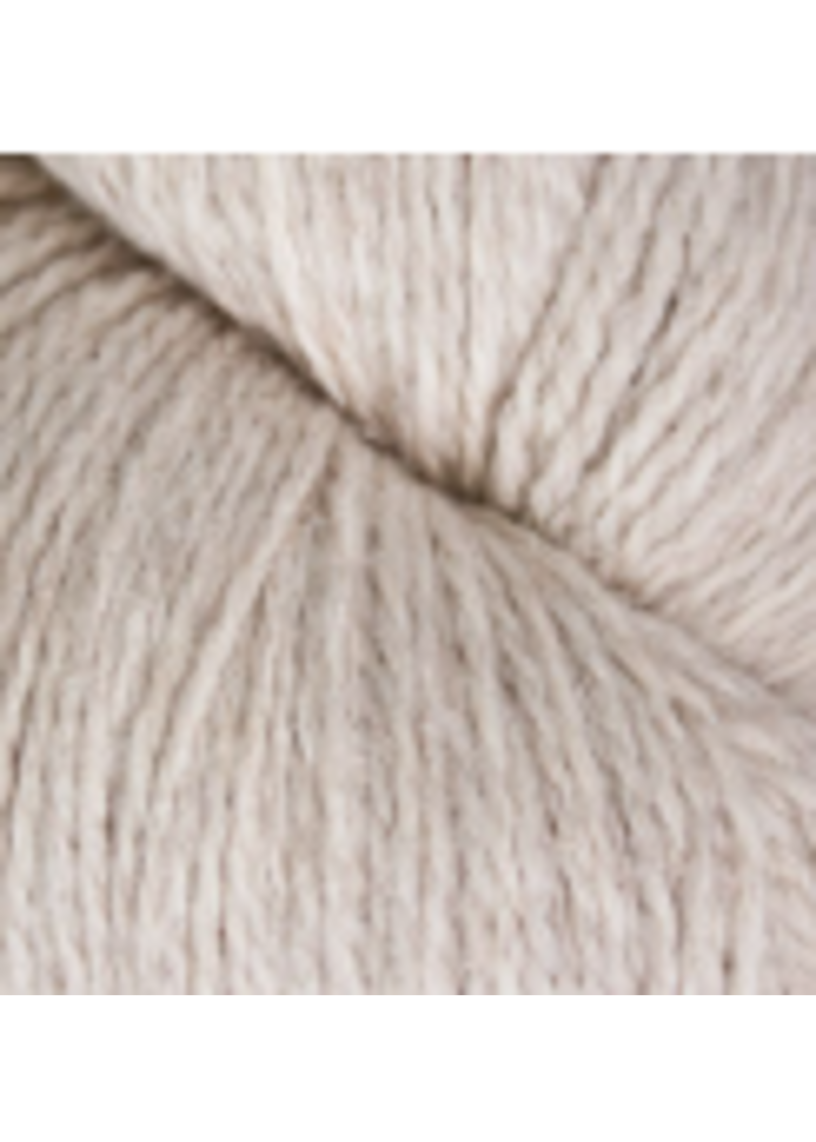 Cascade Yarns, Inc Ecological Wool