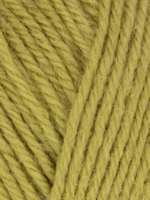 West Yorkshire Spinners WYS Morris DK