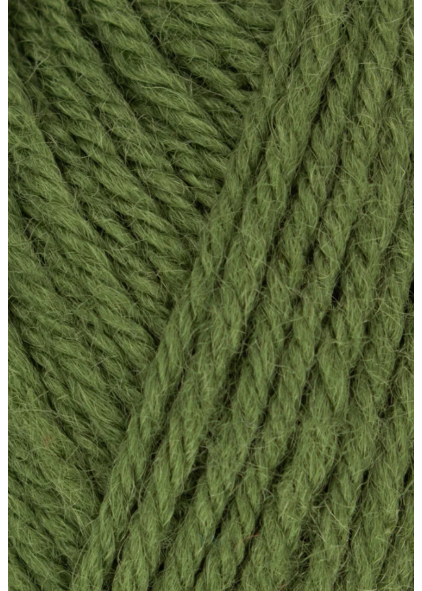 West Yorkshire Spinners WYS Morris DK