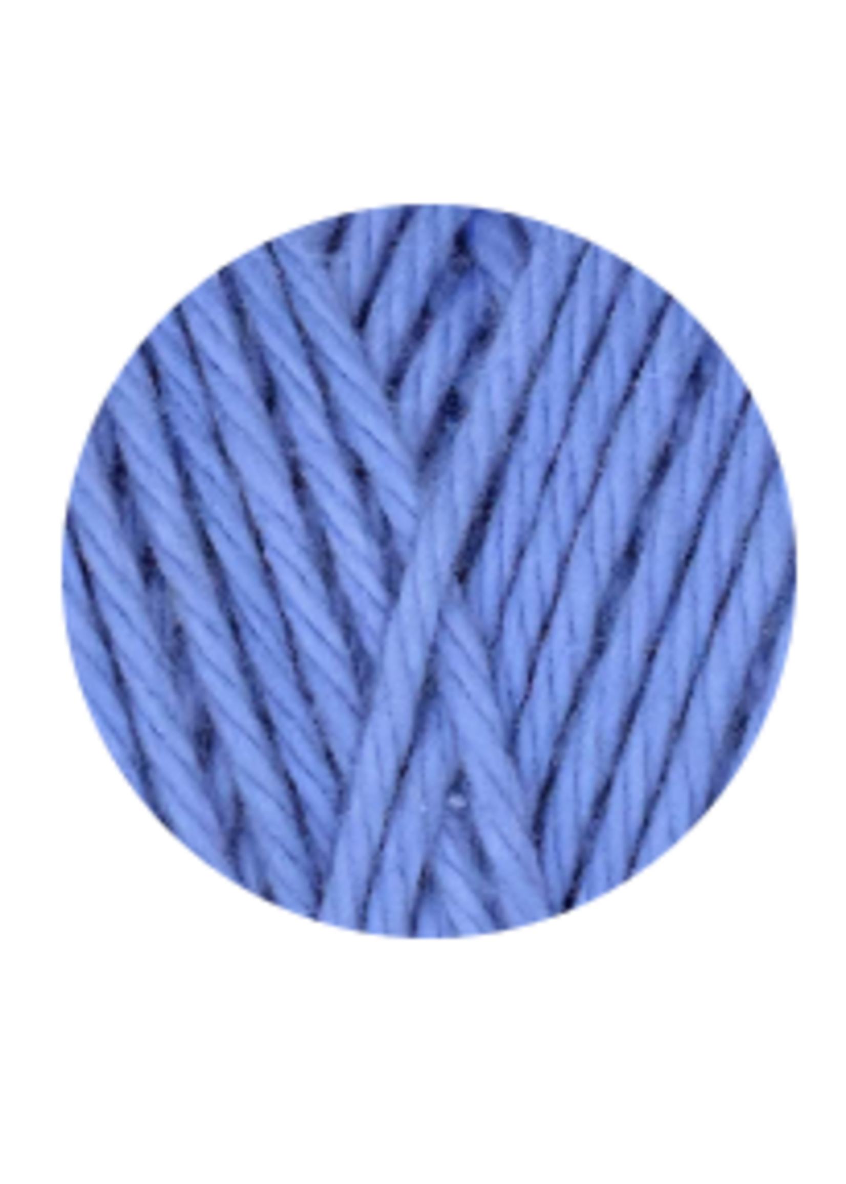 Queensland Queensland Coastal Cotton Worsted