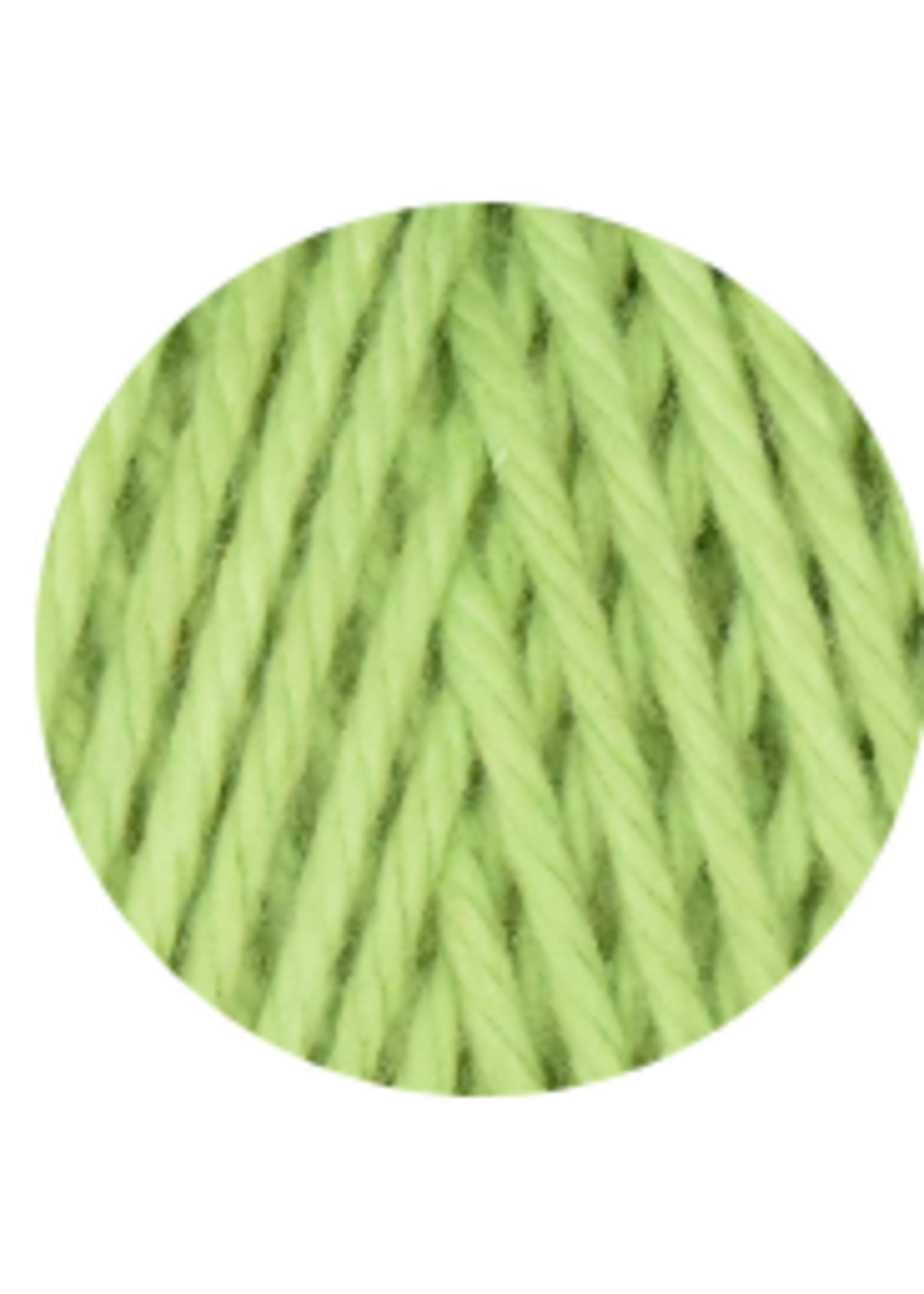 Queensland Queensland Coastal Cotton Worsted