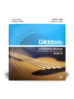 D'Addario D'Addario EPBB170 Acoustic Bass 45-100