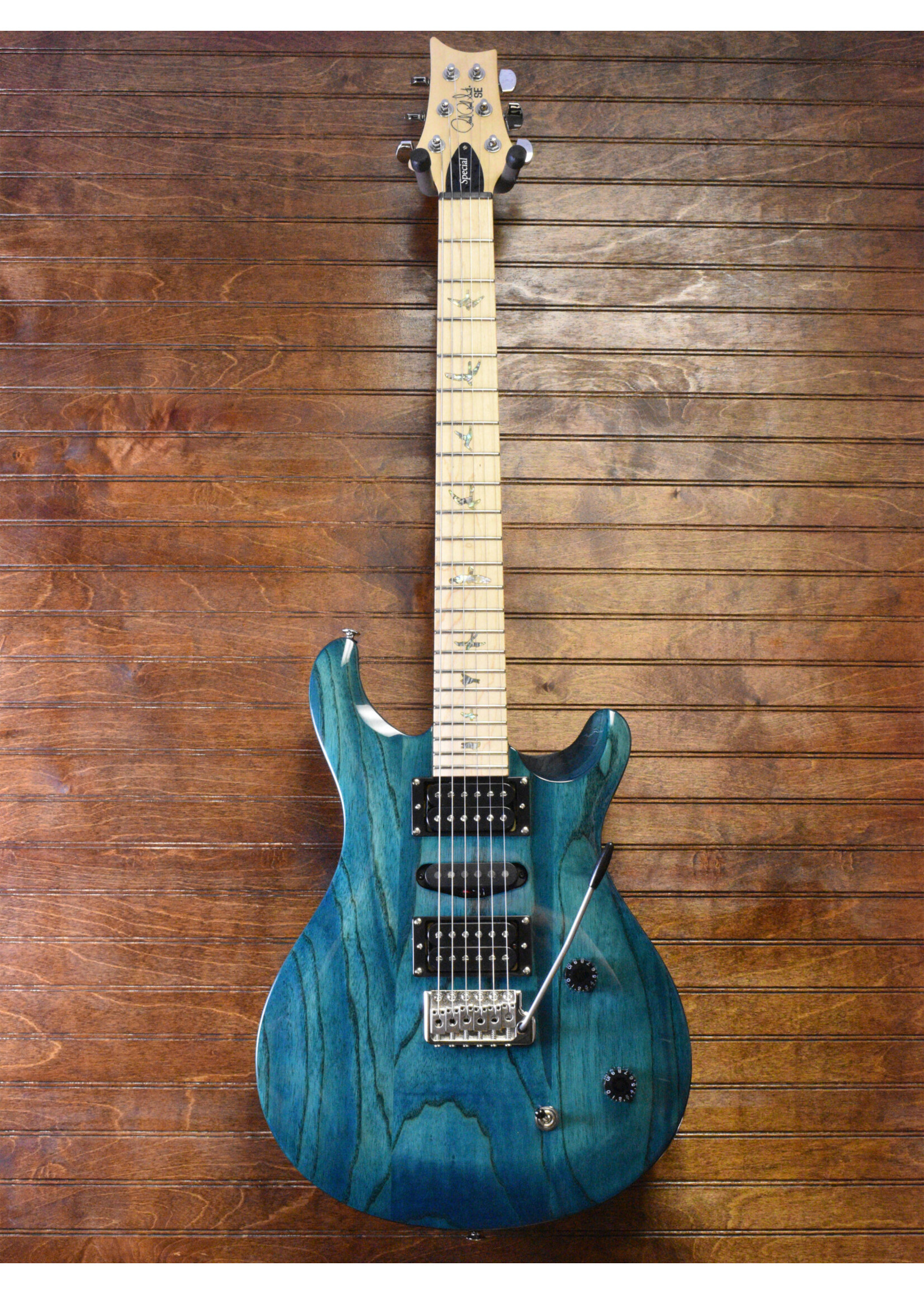 Paul Reed Smith PRS SE Swamp Ash Special Electric Guitar - Iris Blue w/gig bag