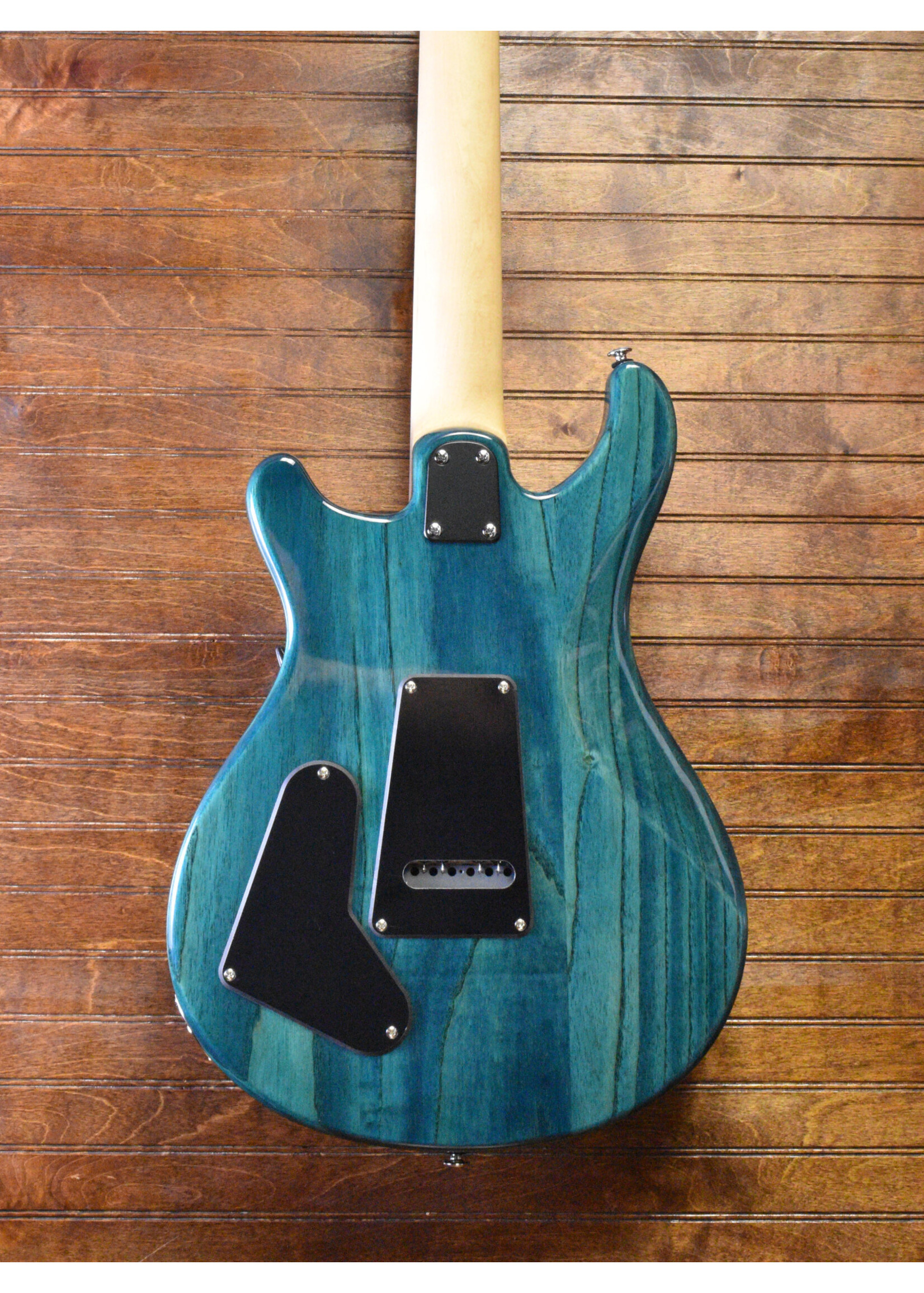 Paul Reed Smith PRS SE Swamp Ash Special Electric Guitar - Iris Blue w/gig bag