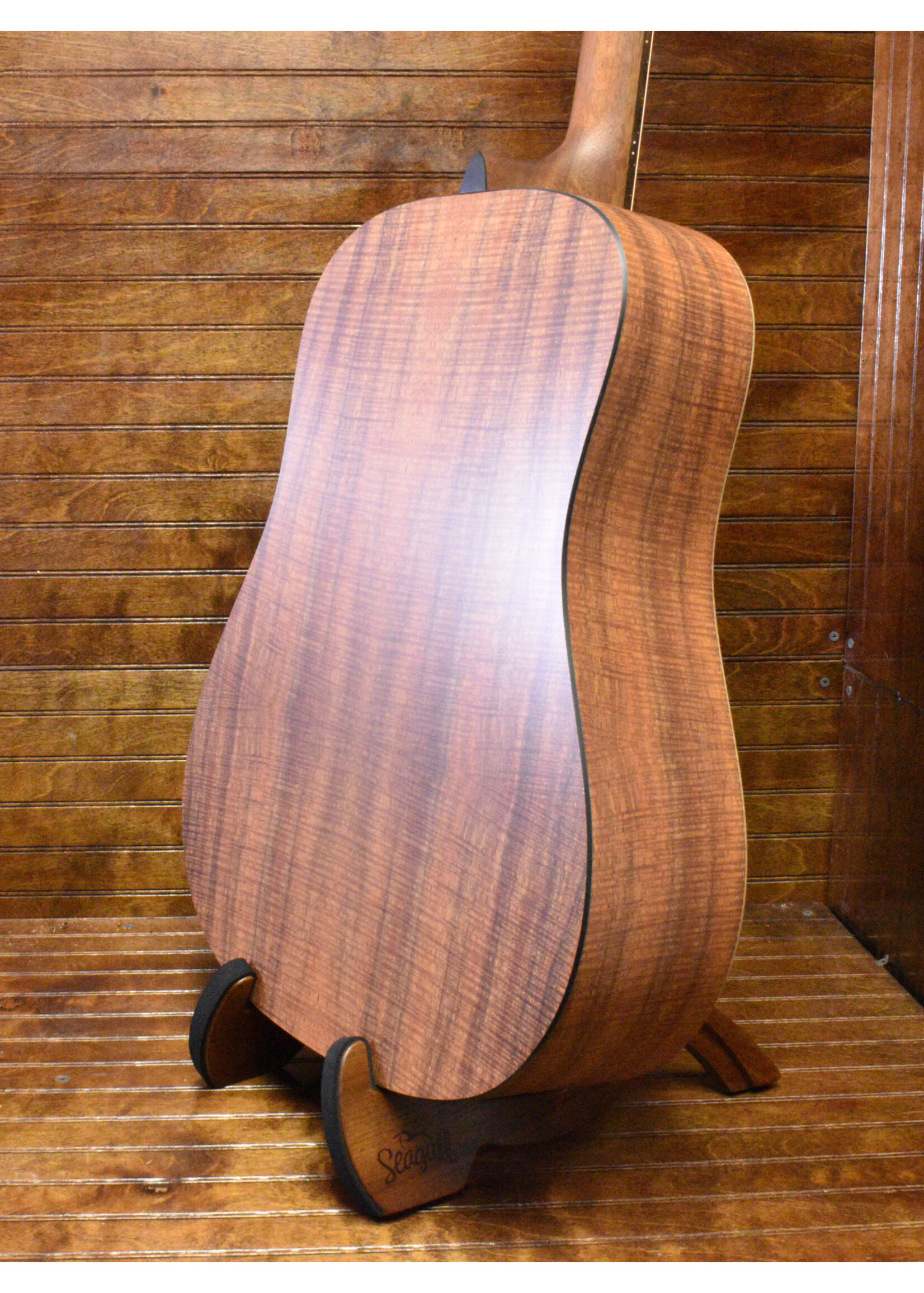 Martin Martin DX2E-01 Sitka Spruce Koa Gig Bag