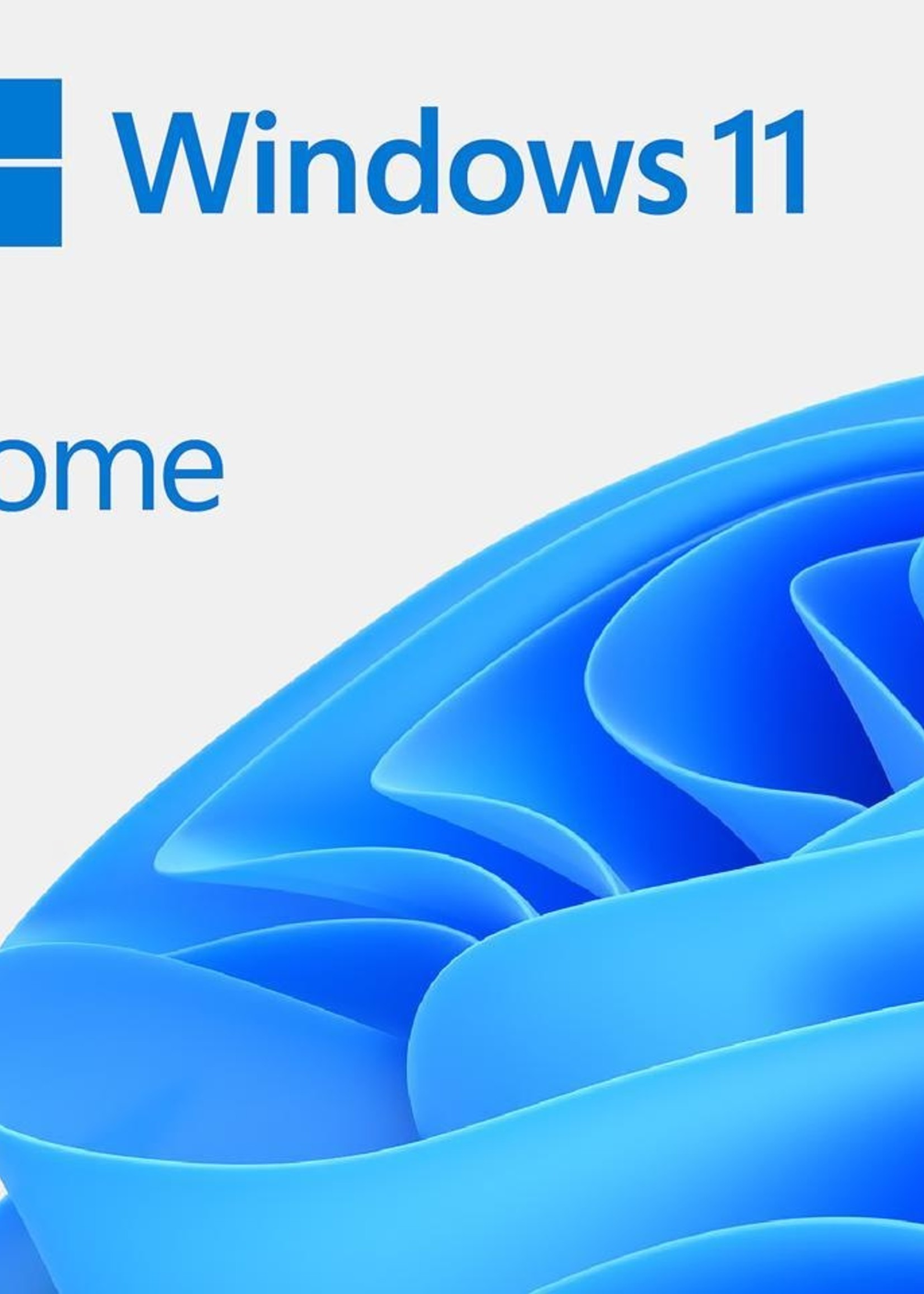 Microsoft Windows 11 Home OEM