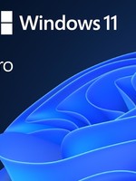 Microsoft Windows 11 Pro OEM