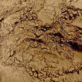 Black Walnut Hull Powder Organic 1 oz