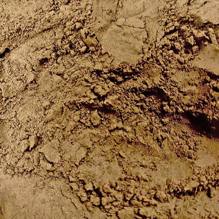 Black Walnut Hull Powder Organic 1 oz