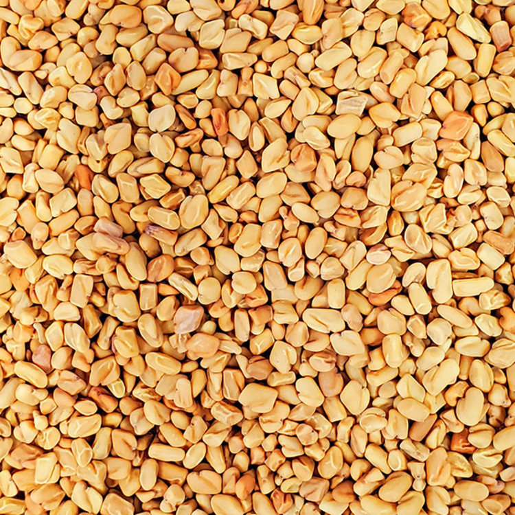 Fenugreek Seed Whole Organic 1 oz