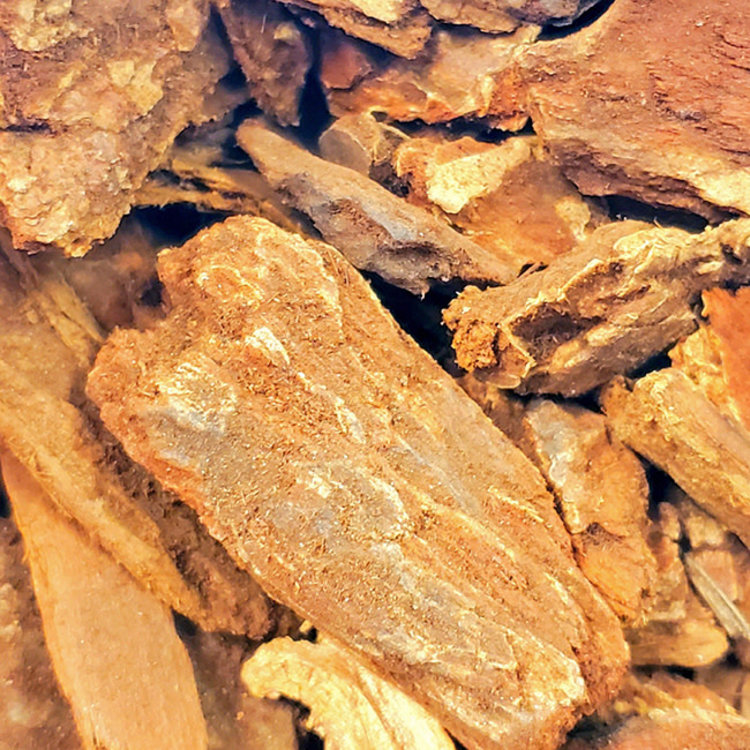 Jezebel Root Non-Organic 1 oz