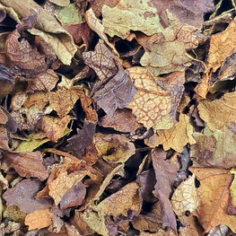 Yerba Santa Leaves Non-Organic 1 oz