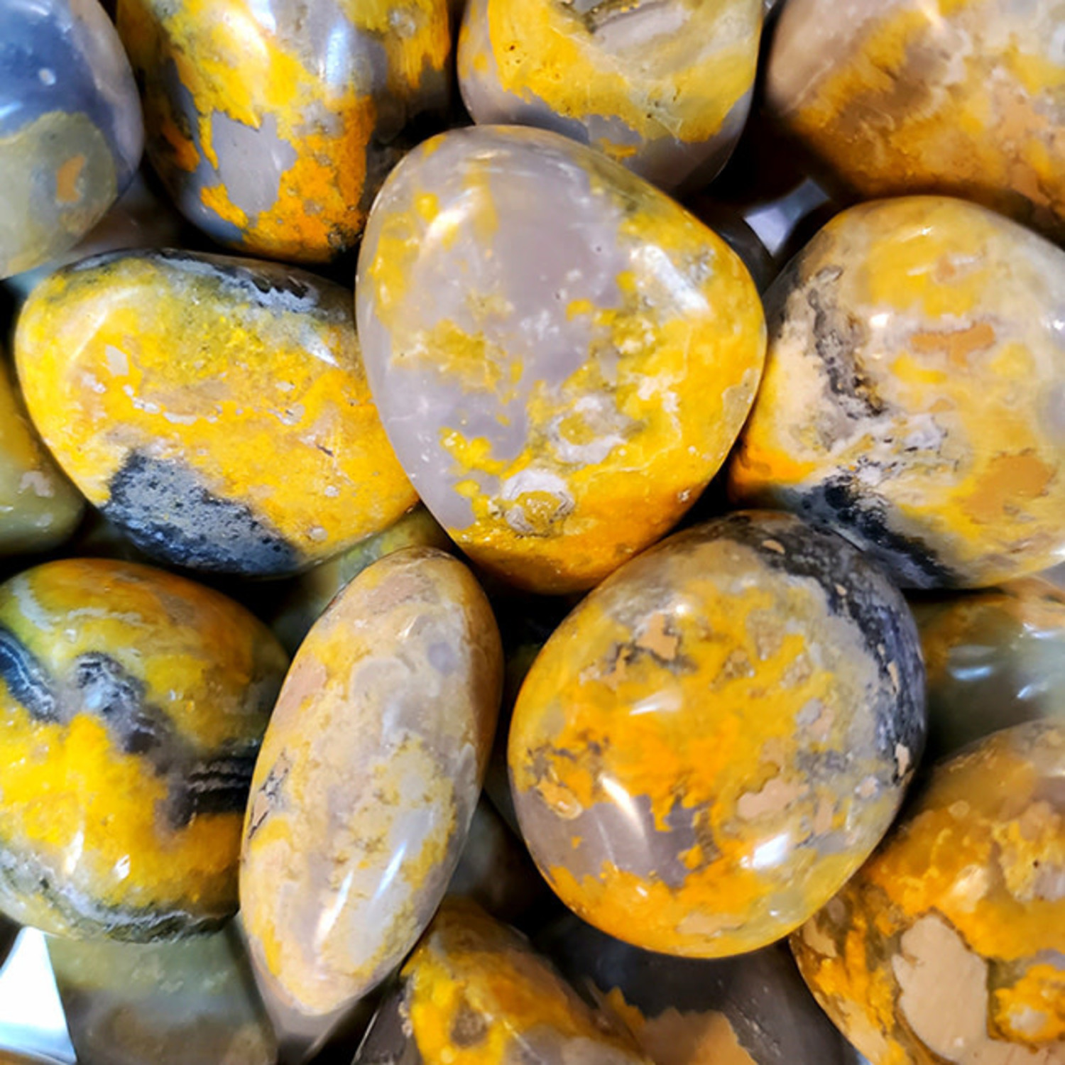 Bumble Bee Jasper Tumbles Bumble Bee Jasper Tumbles