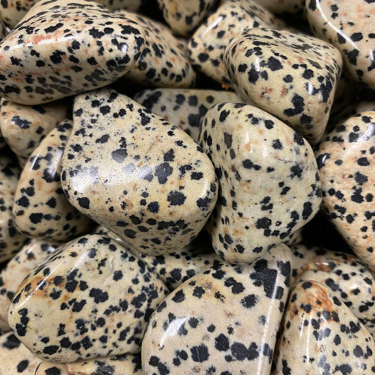 Dalmatian Jasper Extra Large Tumbled Stone