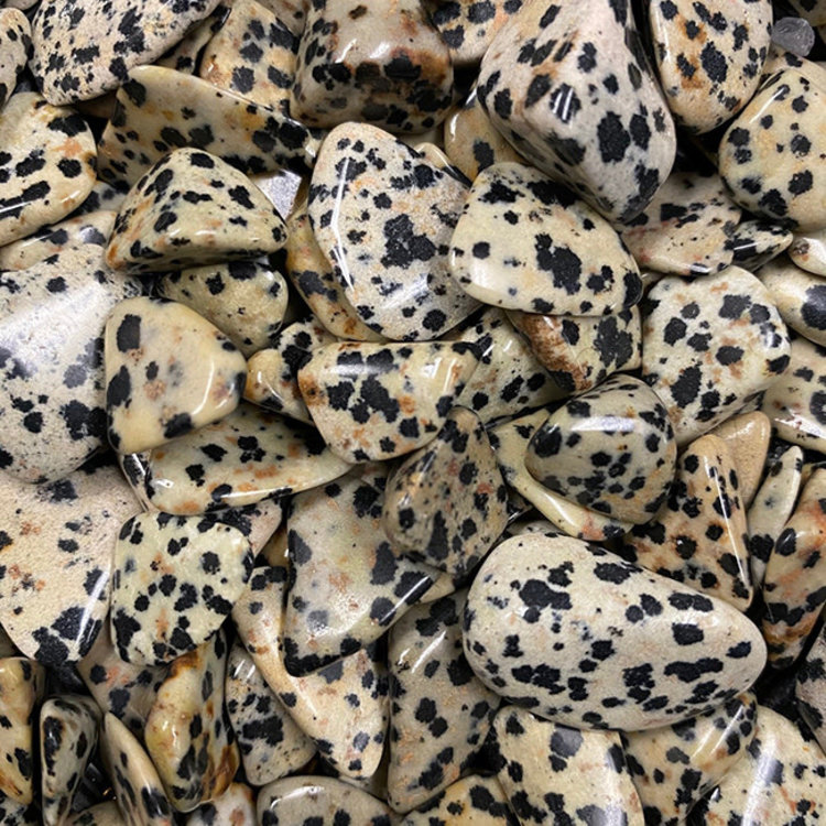 Dalmatian Jasper Medium Tumbled Stone