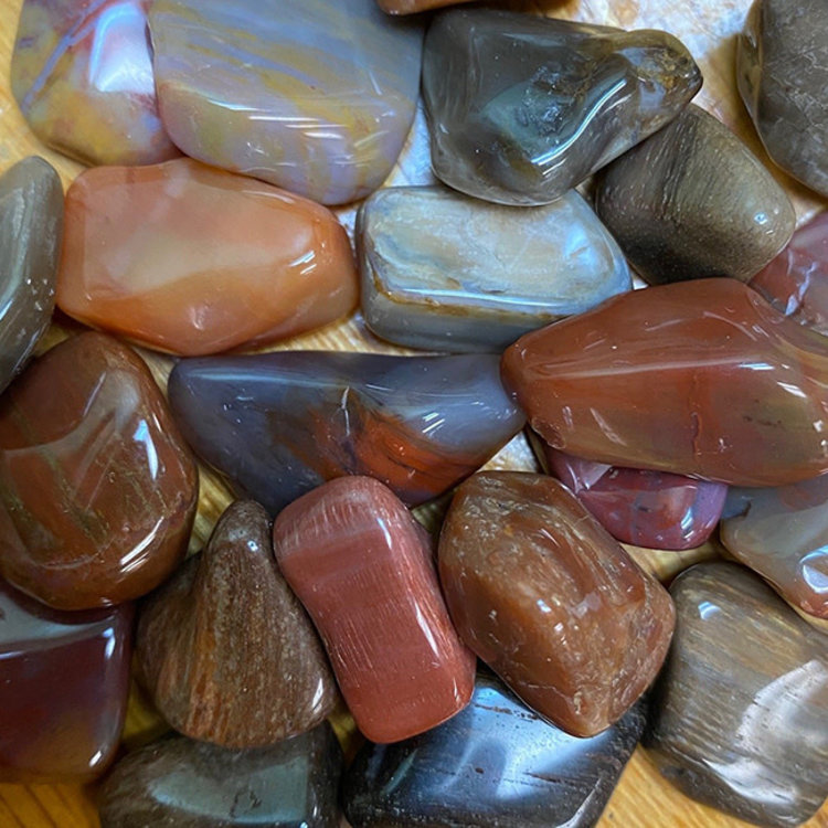 Petrified Wood Medium Tumbled Stone
