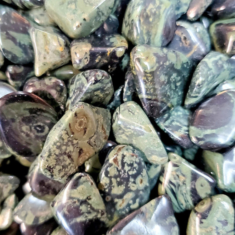 Kambaba Jasper Medium Tumbled Stone