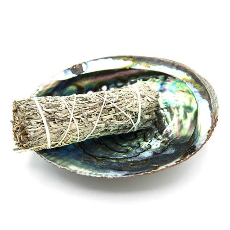 Blue Sage Mini Bundle