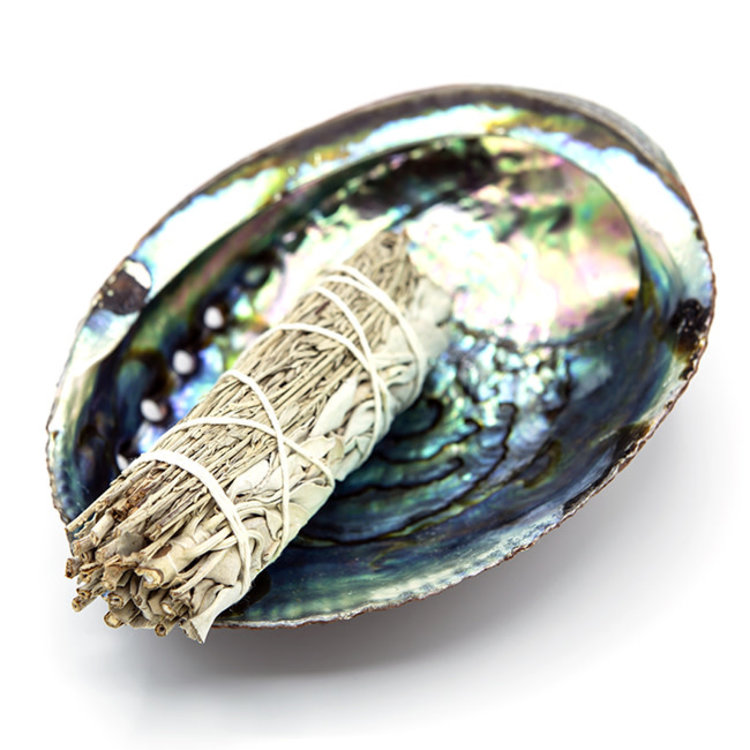 White and Blue Sage Small Bundle